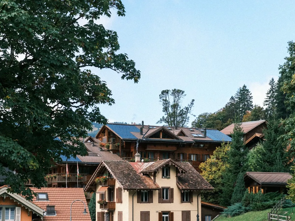 An illustrative Alpine chalet surrounded by trees